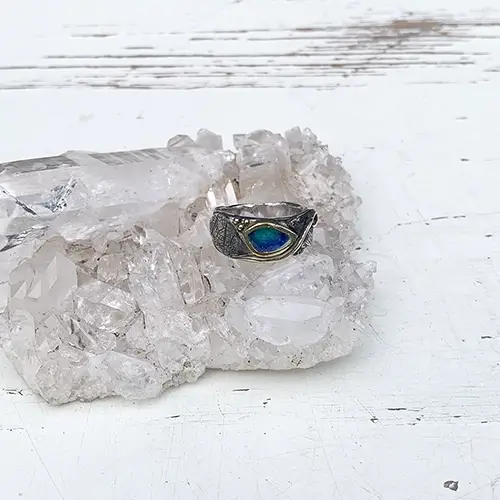 Dierbaar goud naar nieuwe ring met emaille